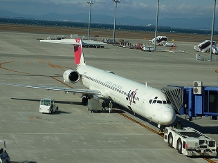 JAL3105