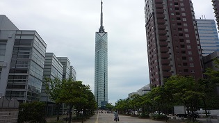 図書館横から見た福岡タワー